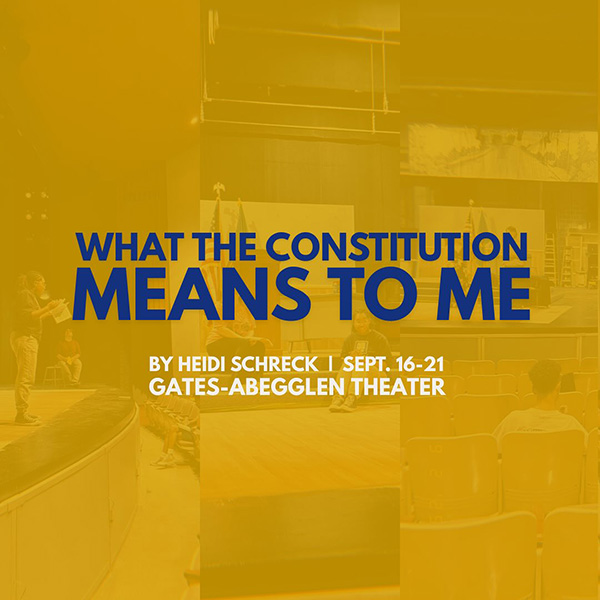what the constitution means to me