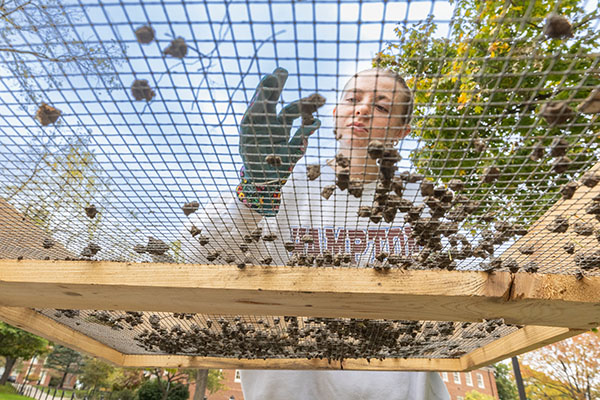 Miami University's Anthropology 416 class dug on the Oxford campus.